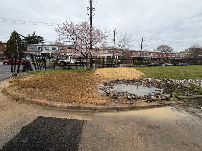 Environmental Excavation