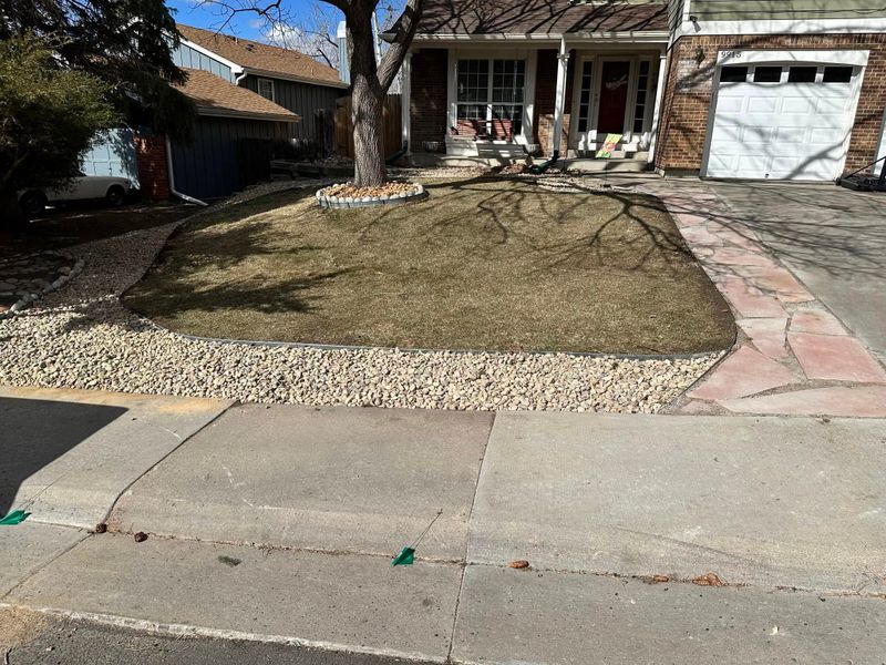 Lawn Maintenance