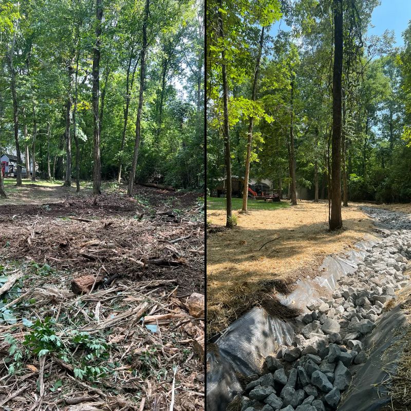 Before & After