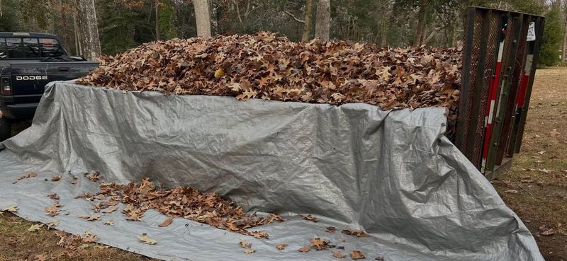 Fall and Spring Clean Up
