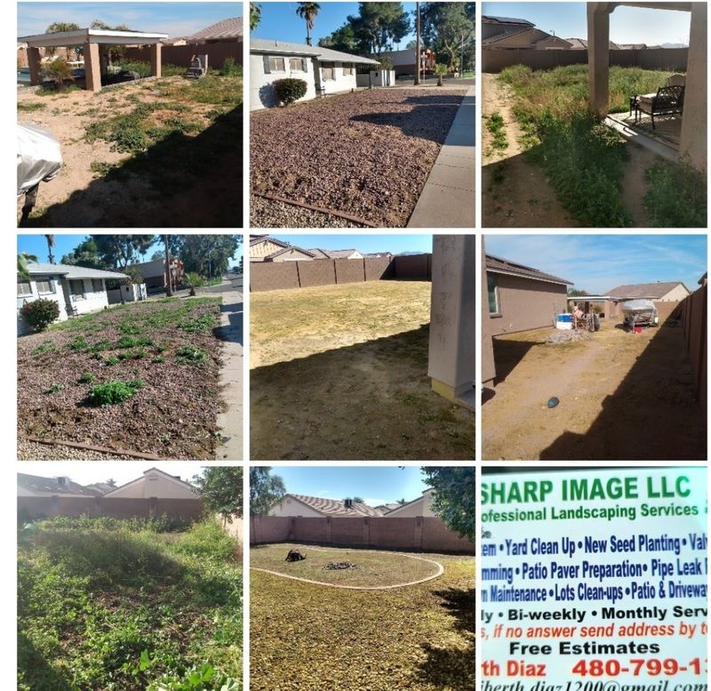 Lawn Maintenance / clean ups