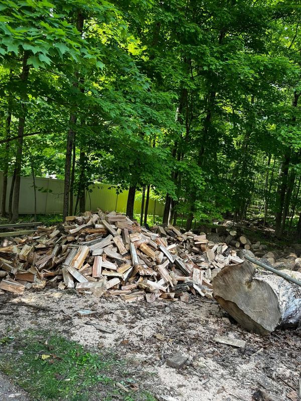 Tree Removal