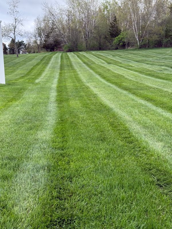 Lawn Care