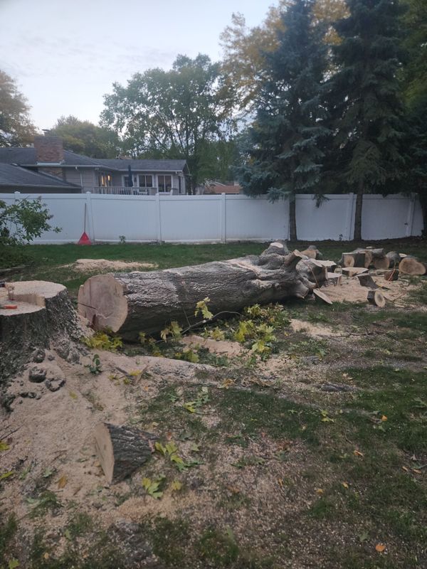 Tree Removal