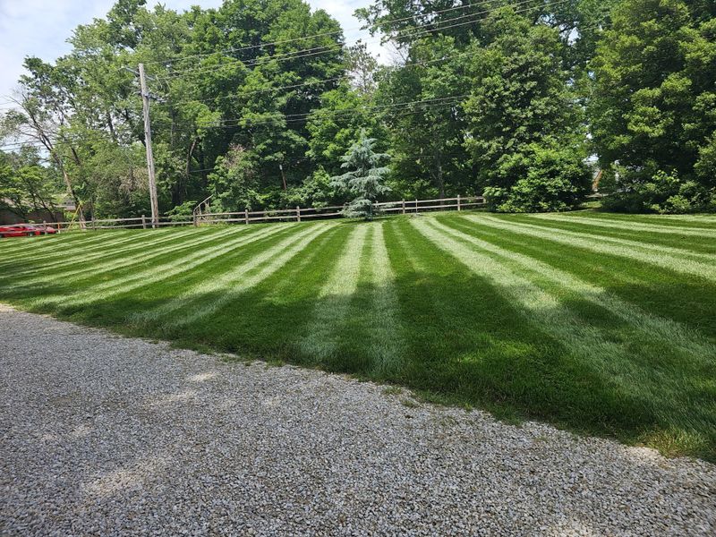 Lawn Maintenance