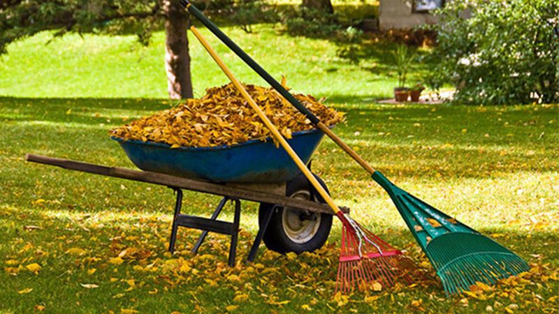 Seasonal Cleanups