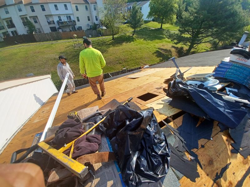 Shingle Roof Replacement