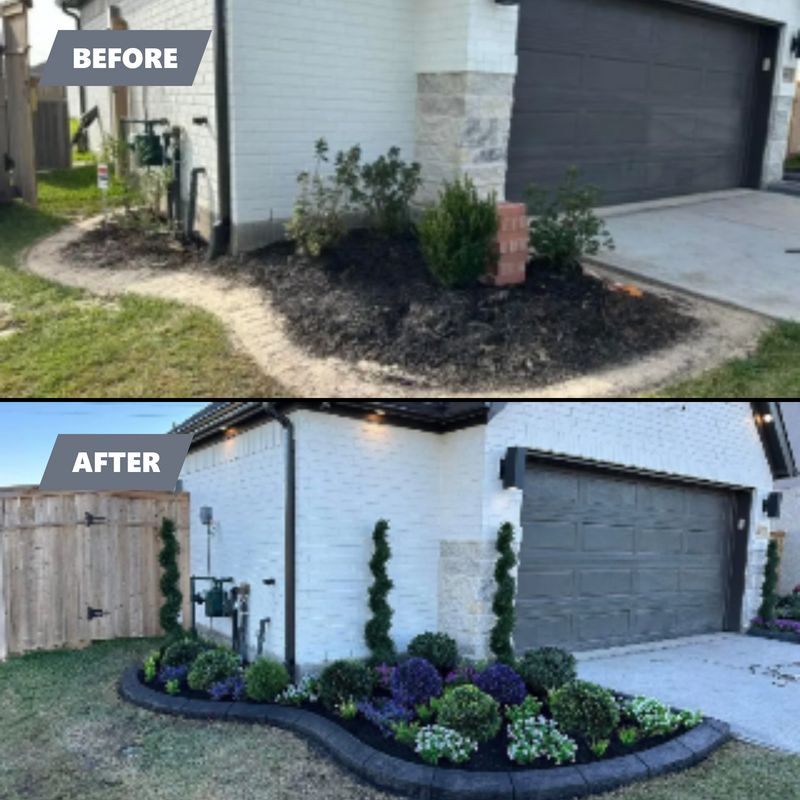 Before & Afters