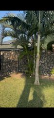 Majestic Maui Retaining Walls: Crafting Stability and Beauty with Savou Landscape & Masonry
