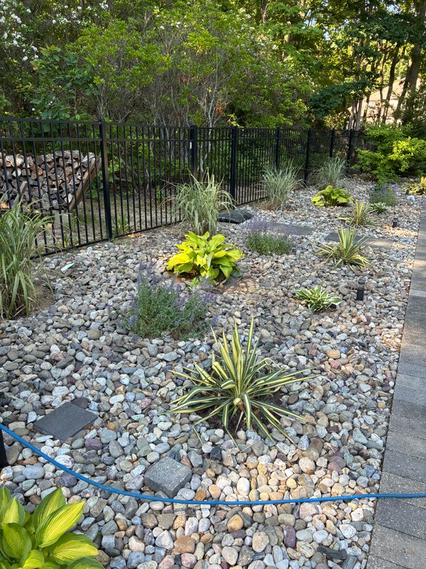 Plant & Shrub Installations