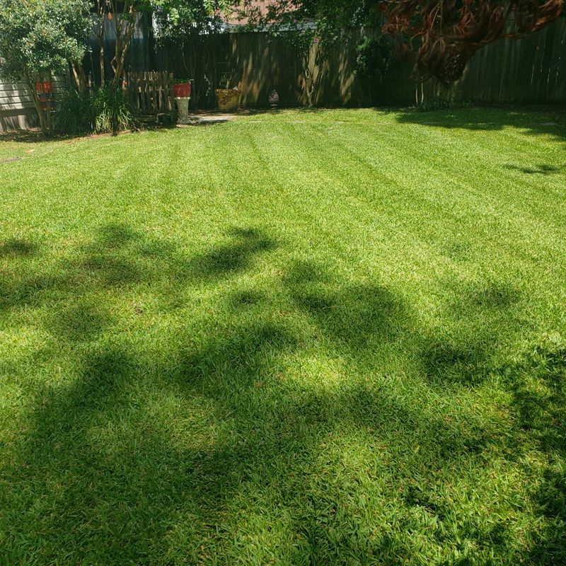 Transforming Florence Yards: Expert Lawncare & Cleanup by Blinn's Landscaping