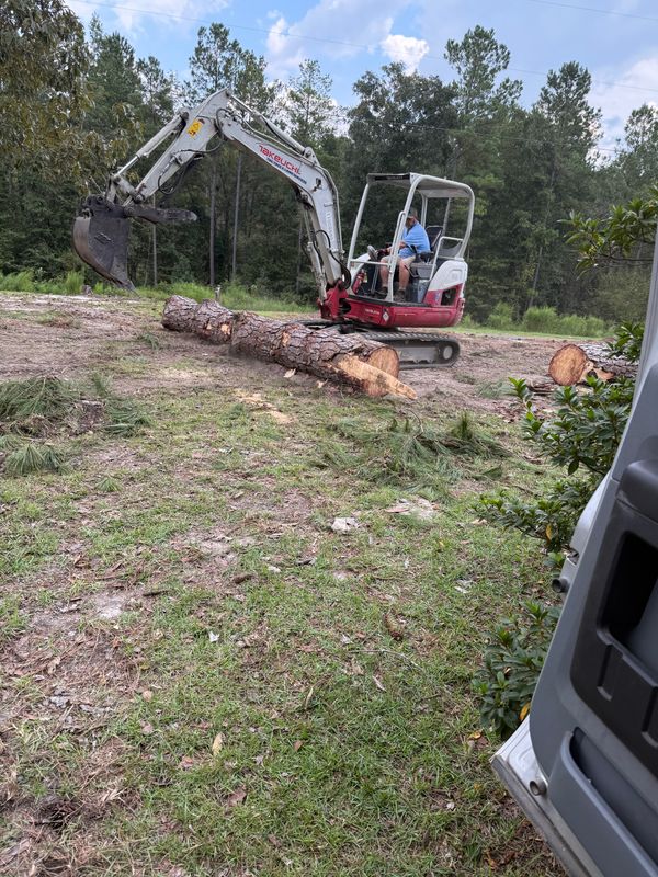 Land Clearing