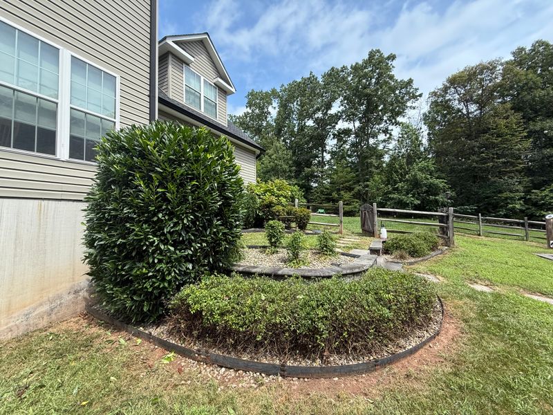 Mulch Installation
