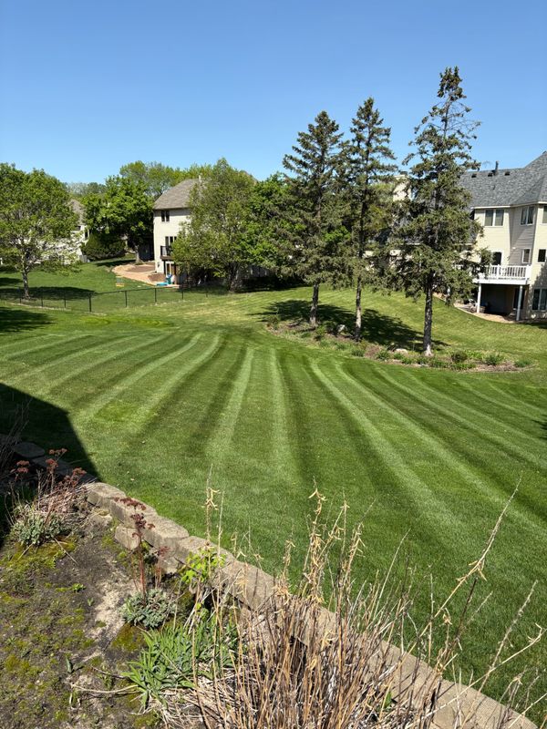 Lawn Mowing