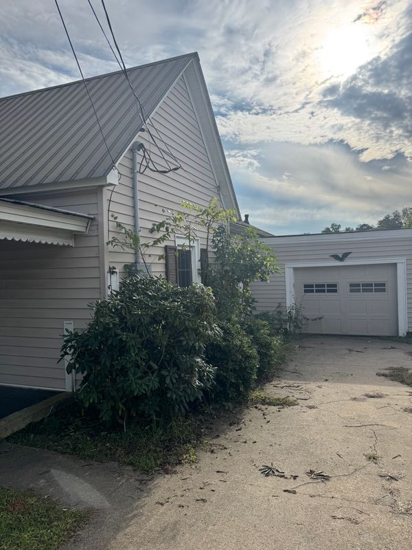 Yard Cleanup gallery