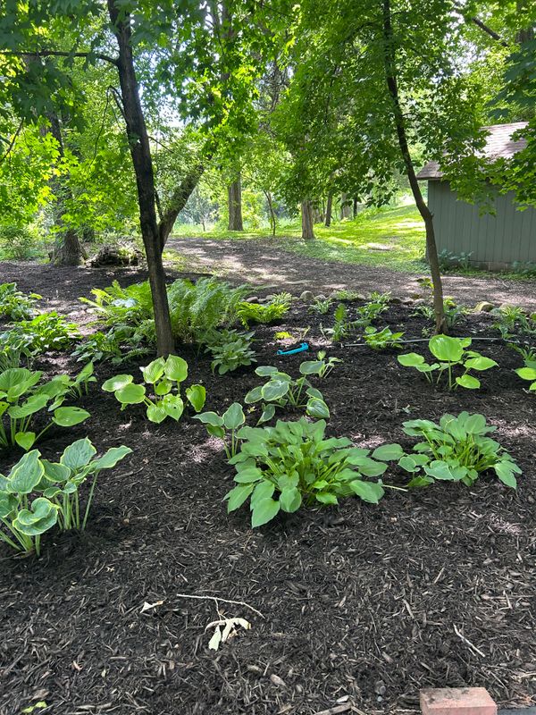 Flower Bed Gallery