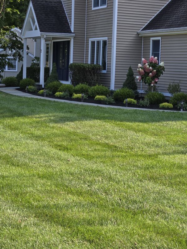Landscaping