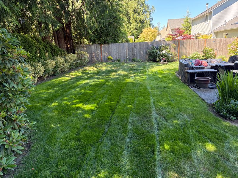 Green Spaces