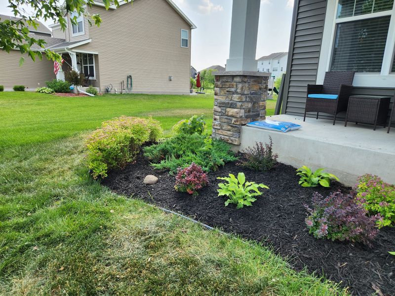 Shrub Trimming