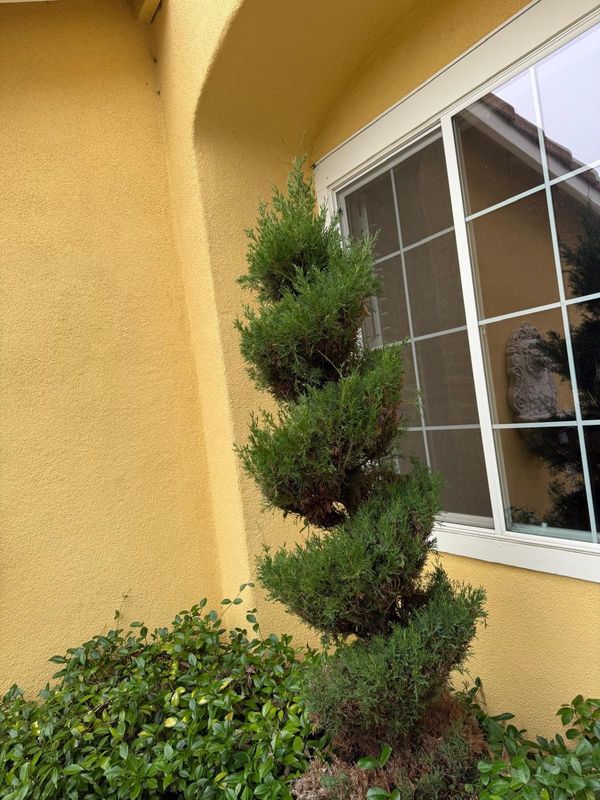 Landscaping