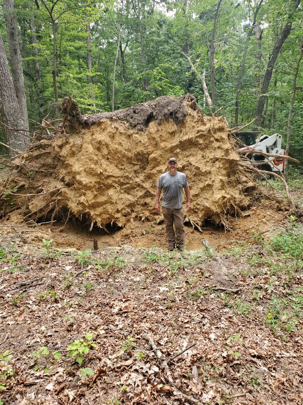 Excavation