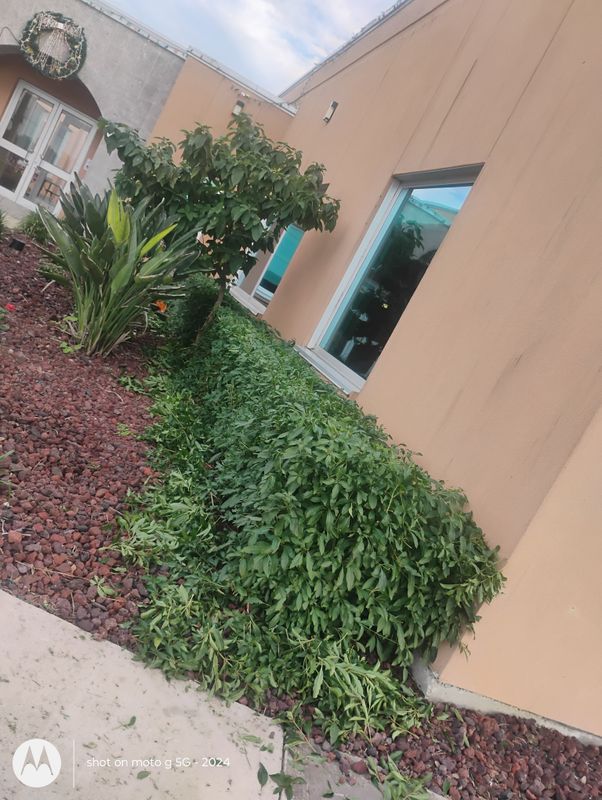 Landscape Design