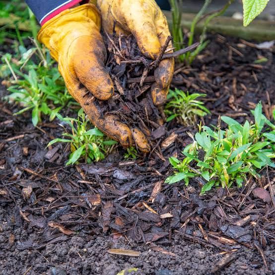 Mulching