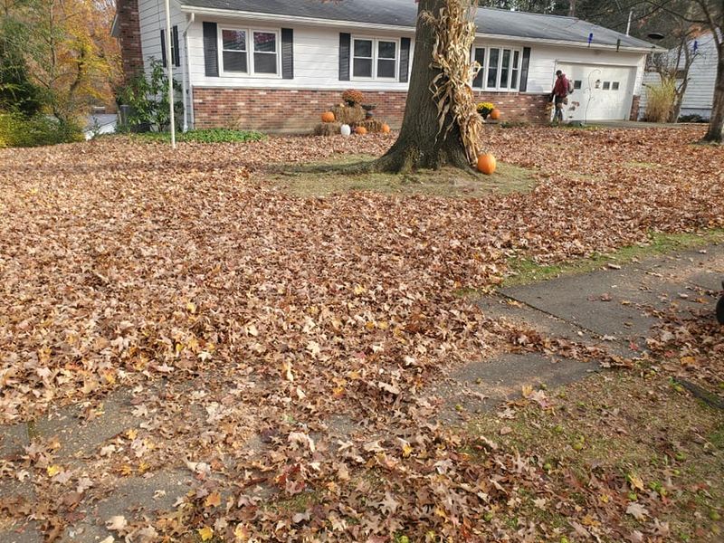 Fall and Spring Clean Up