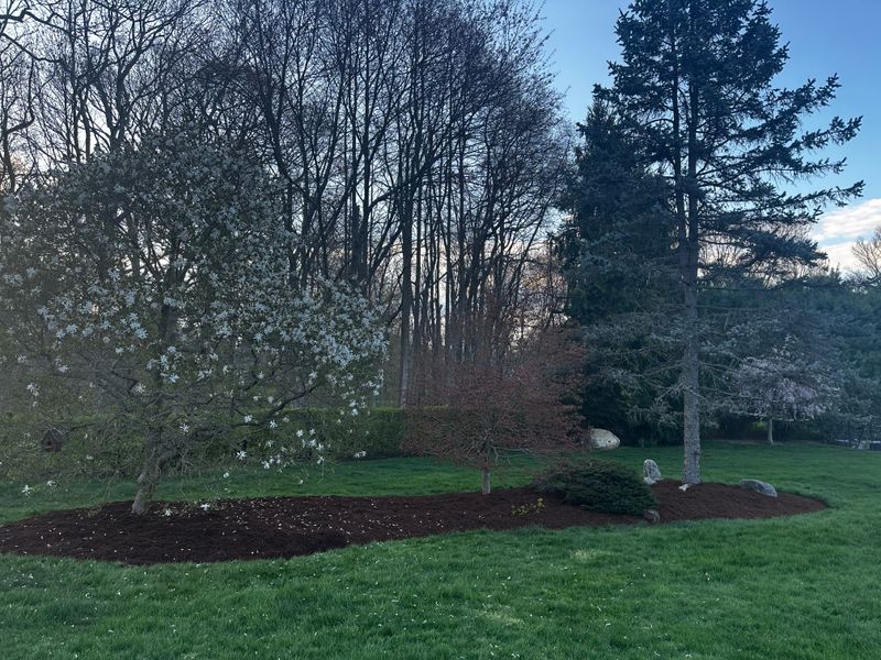 Landscape Maintenance gallery