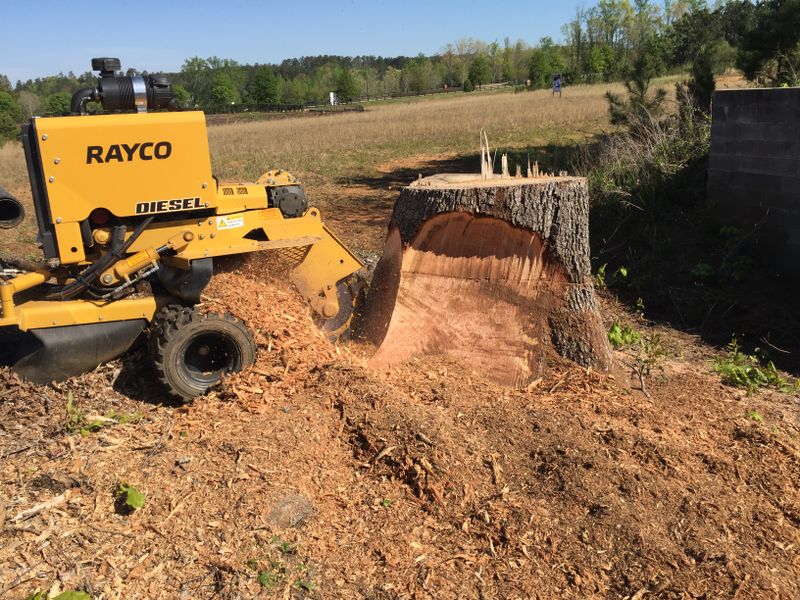 Stump Removal