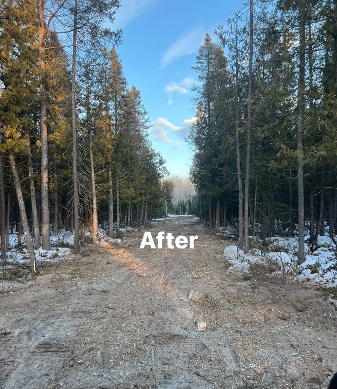 Land Clearing