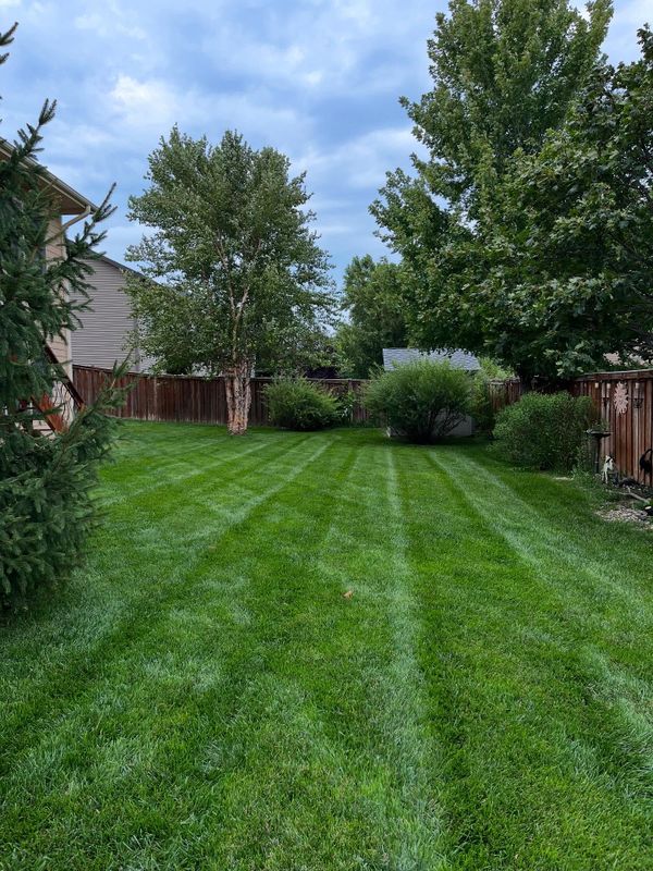 Lawn Maintenance
