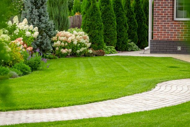 Patio Design & Construction