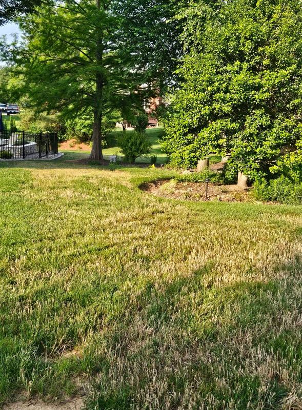 Lawn Care