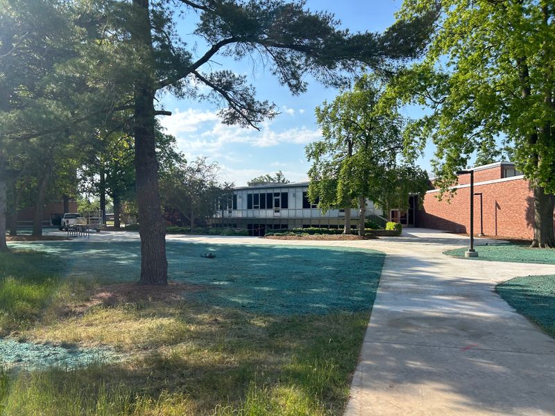 Hydroseeding