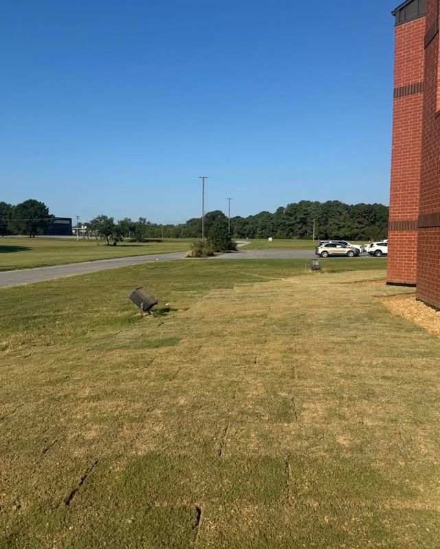 Lawn Care and Maintenance