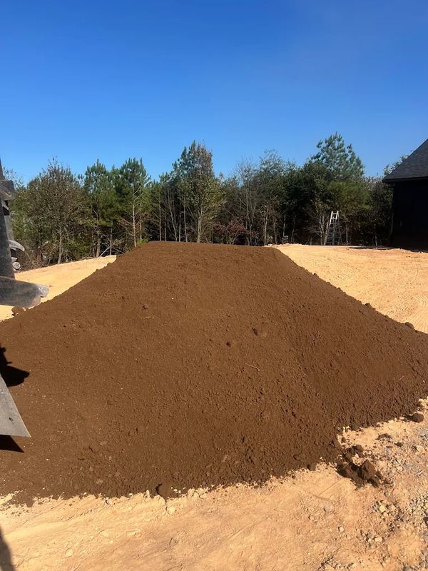 Site Excavation