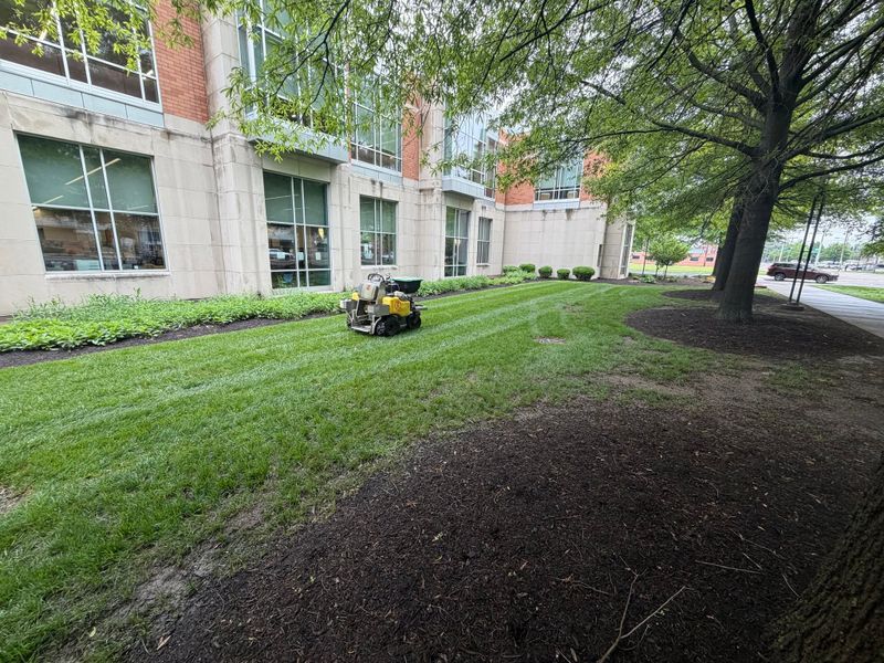 Lawn Fertilization