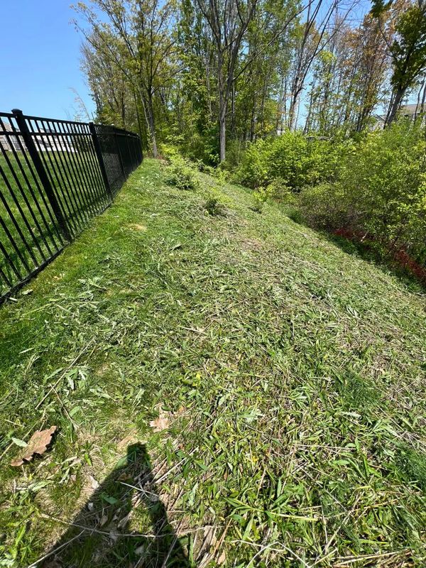 Landscaping