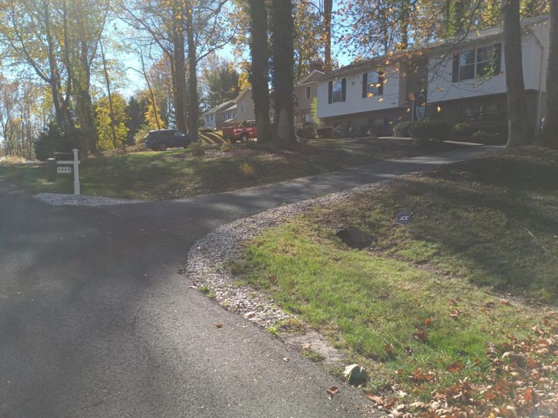 Leaf and Fall Cleanup