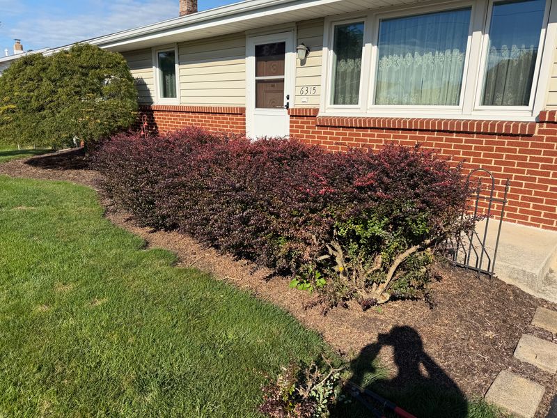 Landscape Design