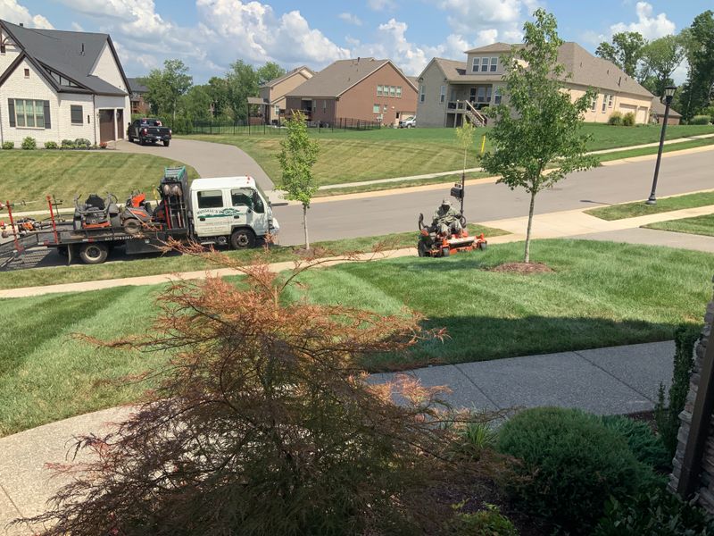 Mowing
