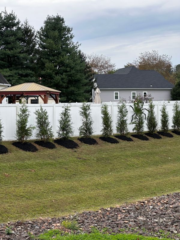 Tree & Perennial Planting