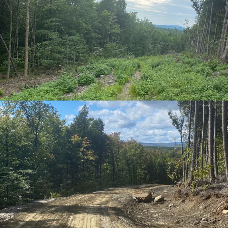 Land Clearing & Forestry Mulching