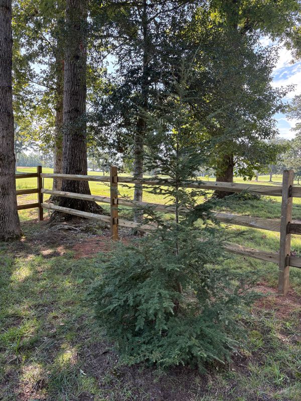 Decorative Fence