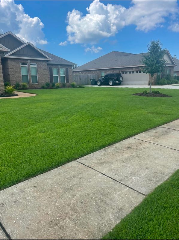 Sod Installation