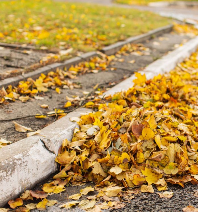 Fall and Spring Clean Up