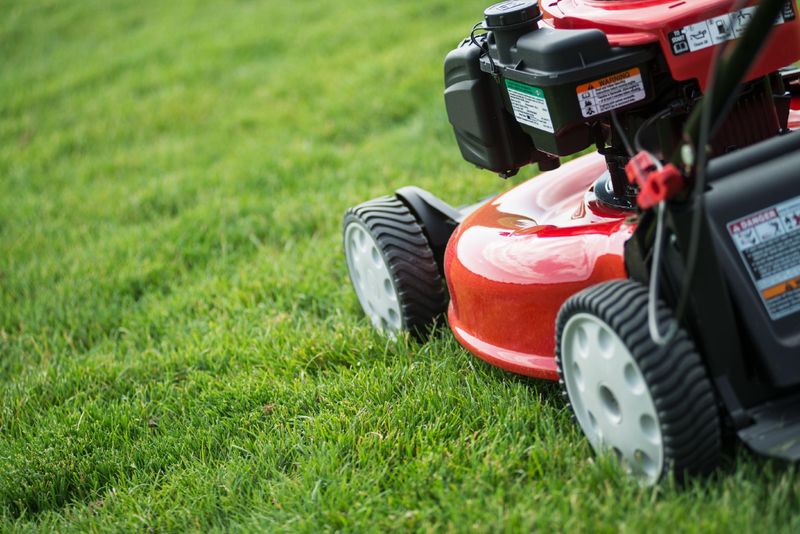 Mowing