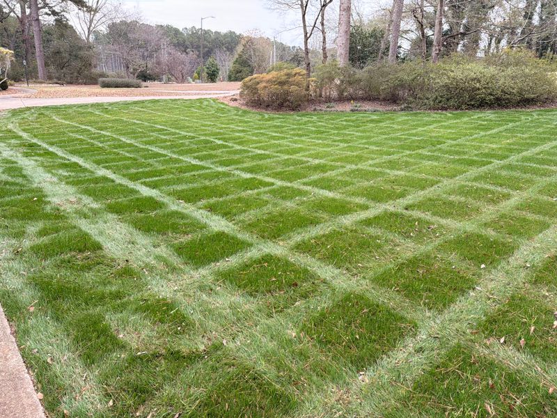 Hydroseeding gallery