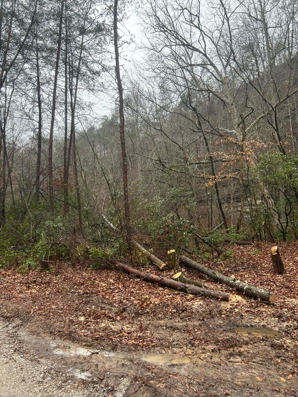 Land Clearing gallery